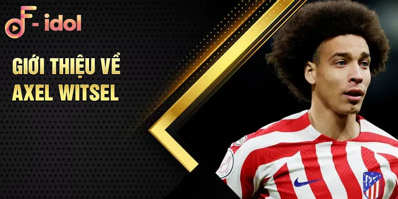 Giới thiệu về Axel Witsel